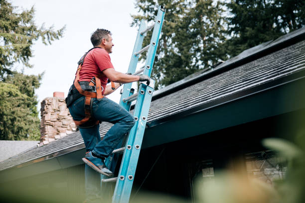 Best Solar Panel Roofing Installation  in Mcsherrystown, PA